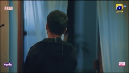 Sunn Mere Dil - Episode 14 - 21st November 2024